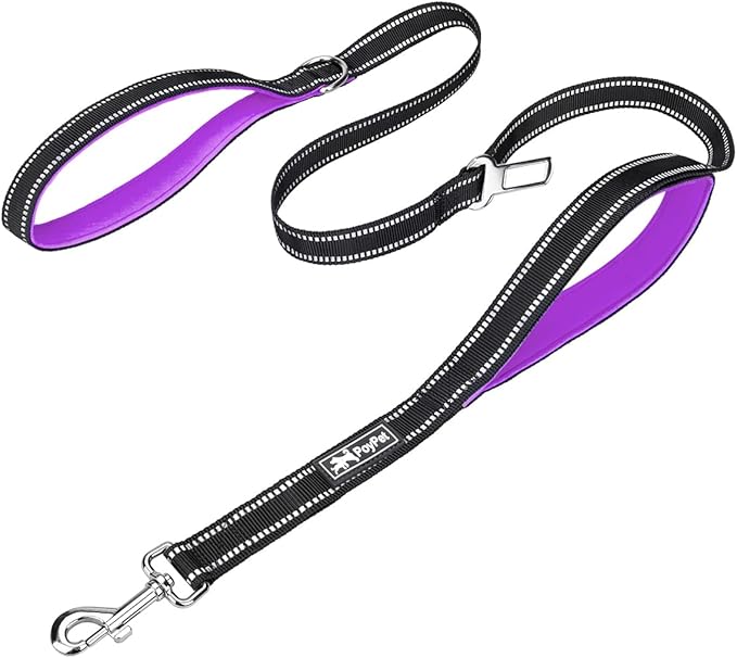 PoyPet 5 Feet Dog Leash - 3M Reflective - 2 Cushioned Handles - Functional Car Seat Belt (Purple)