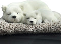 Ergocar Car Air Purifying Bags Cute Animals Odor Eliminator Bamboo Charcoal for Car Decoration & Eliminating Odors (Samoyed-B)