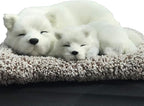 Ergocar Car Air Purifying Bags Cute Animals Odor Eliminator Bamboo Charcoal for Car Decoration & Eliminating Odors (Samoyed-B)