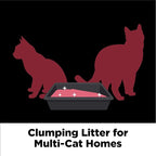ARM & Hammer Clump & Seal Platinum Cat Litter, Multi-Cat, 14-Day Odor Control, Rock-Hard Clumps, 18 lbs – Powerful Odor Eliminator with Baking Soda