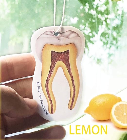 Car Air Freshener Anatomy Dentist Set 10 Pack
