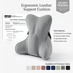 Lumbar Back Pillow (Pat. Pend), Supportive Back Cushion for Bed, Couch & Recliner, Ergonomic Lumbar Pillow with Customizable Firmness for Lower Back Pain Relief, Zinc Gray