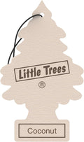 Car Freshner 10317