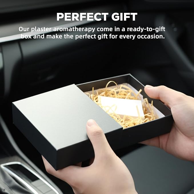 Car Air Freshener Small Gypsum Aromatherapy Diffuser New Smell Set Clean Ingredients Car Odor Eliminator Long Lasting Scent Auto Accessories with Metal Clip (Circular, 3 PCS)