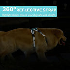 FURRYFECTION Plaid Dog Harness for Small Dogs, Reflective No Pull Adjustable Pet Vest with Front Clip, Leash, Easy Control Handle and Seat Belt, Turquoise, S