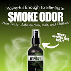 Chronic Wipeout Smoke Smell Eliminator for Home, Cars, Hands, Hair, Clothes, & More | Smoke Odor Eliminating Spray for All Kinds of Strong Smoke | Gifts for Smokers - Apple 2 Pack (16 oz)