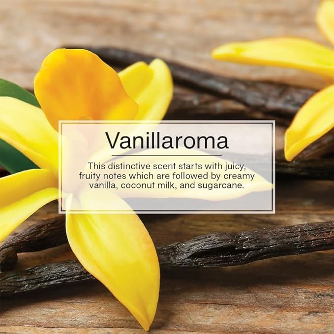 Little Trees U1P-10105 Air Freshener (Vanillaroma Pk24)