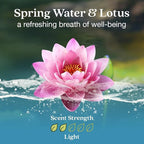 Enviroscent Non-Toxic Car Vent Clip | Single Use Car Air Freshener | Car Scent Lasting Over 30 Days Each, 8 Count (Spring Water & Lotus)