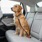 Genuine Leather Dog seat Belt for car, Safe Distraction Free Driving, Heavy-Duty Design with Military Grade Hardware, Harness for Small, Medium and Large Pets (Brown, 30")