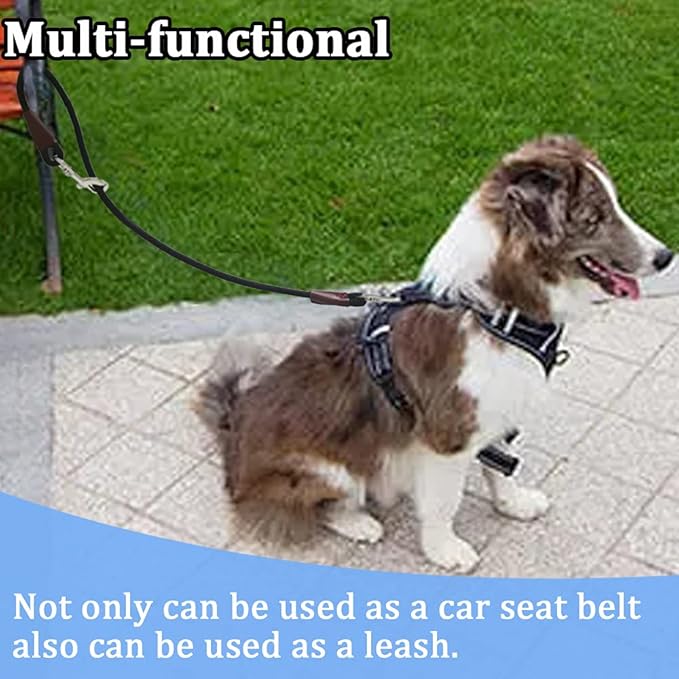 MayPaw Training Tie Down- Short Dog Tether Indoor- Strong Rope Dog Car Leash Seat Belt- 5 Sizes Vehicle Safety Restraint Lead for Small Medium Large Dogs (27.6 Inch)