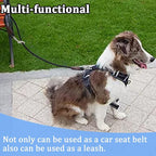 MayPaw Training Tie Down- Short Dog Tether Indoor- Strong Rope Dog Car Leash Seat Belt- 5 Sizes Vehicle Safety Restraint Lead for Small Medium Large Dogs (27.6 Inch)