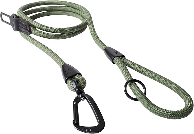 PawsPassion Rope Dog Leash 6 FT, 2-in-1 Heavy Duty Dog Leash with Seat Belt Buckle, Tangle Free 360ｰ Swivel Aviation Aluminum Carabiner, All Metal Hardware, Alloy O-Ring (Evergreen)