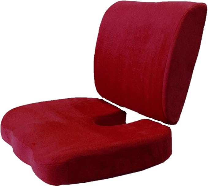Bookishbunny 2pc High Resilience Memory Foam Seat Chair Waist Lumbar Back Support Cushion Pillow Car Office Home (Burgundy)