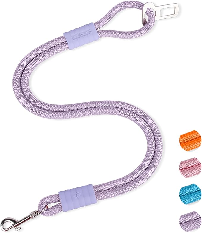 2-in-1 Dog Car Seatbelt Leash & Walking Lead - Heavy Duty 70CM Nylon Rope Leash with Secure Vehicle Buckle for Small Medium Large Dogs, for Travel, Walking, Training