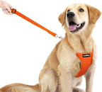 Dog Seat Belt, Safety Vest Dog Car Harness with Adjustable Buckle Dog Seat Belt for Vehicle Nylon Pet Safety Seat Belts Heavy Duty(M, Orange)