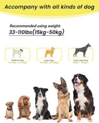 Hands Free Dog Leash & Car Seatbelt, 5.9-9.5ft Crossbody Dog Belt with Dual Soft Handles, Shock-Absorbing, 360° Clip, Reflective Design for Walking, Running, Hiking, Travel.(Yellow)