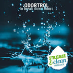 Green Groom Odor Eliminator Dog Shampoo, 1 Gallon - Crafted with Odortrol, All Natural Ingredients, Antioxidant Rich, Eliminates Smelly Pet Odors, Powerful Deodorizing Formula, Professional Grade