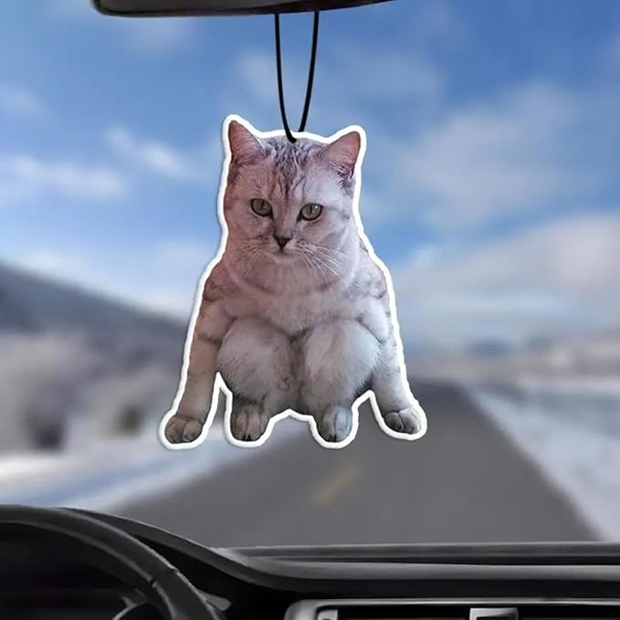 Rawan 4 Pack Car Air Freshener Cat, Accessories Cute for Women Girls And men Car, Funny Decor Hanging Fresheners Car Interior Room Decorations, for Christmas Gift (B, 2 Scent)