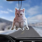 Rawan 4 Pack Car Air Freshener Cat, Accessories Cute for Women Girls And men Car, Funny Decor Hanging Fresheners Car Interior Room Decorations, for Christmas Gift (B, 2 Scent)