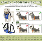 SlowTon Dog Seat Belt Harness for Car, Dog Car Harness Adjustable Mesh Breathable & Dog Seatbelt Safety Tether with Elastic Bungee for Small Medium Large Pets(Blue, Double Clip, S)