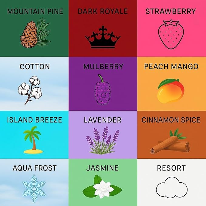 Wonder Wafers Air Freshener Variety Pack of 12 - 12 Scents (12 Pack)