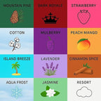 Wonder Wafers Air Freshener Variety Pack of 12 - 12 Scents (12 Pack)