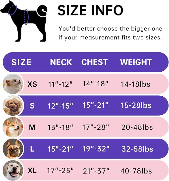 IVY&LANE No Pull Dog Harness for Medium Dogs, Dog Vest Harness with Leash, Safety Belt and Storage Strap, Fully Adjustable Harness, 360° Reflective Strip, Soft Handle (Purple, M)