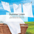 LITTLE TREES Car Air Freshener | Hanging Paper Tree for Home or Car | Summer Linen | 6 Pack