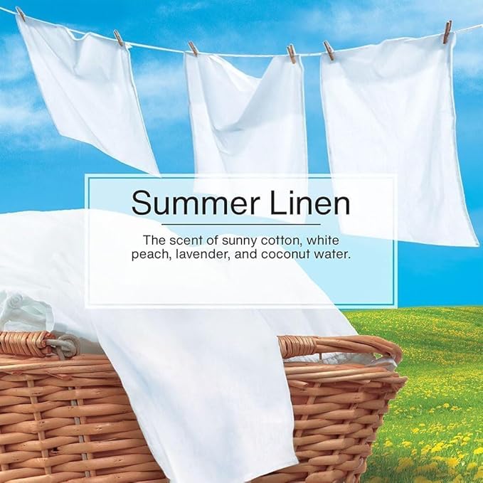 Little Trees Cardboard Hanging Car, Home & Office Air Freshener, Summer Linen (Pack of 12)