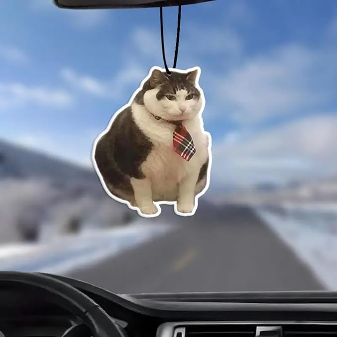 Rawan 4 Pack Car Air Freshener Cat, Accessories Cute for Women Girls And men Car, Funny Decor Hanging Fresheners Car Interior Room Decorations, for Christmas Gift (A, 2 Scent)