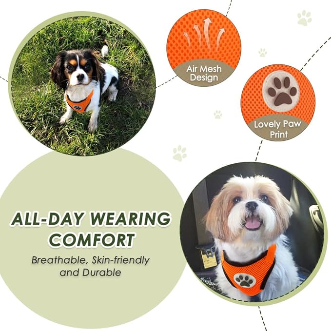 Lukovee Dog Seat Belt for Car, Adjustable Dog Car Harness for Large Medium Small Dogs, Soft Padded & Breathable Mesh Dog Seatbelt with Car Strap and Carabiner (Orange,XXS)