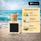 Gift Paradise® Car Air Freshener with Wooden Box – High Tide Scent | Hanging Diffuser for Car, Home & Office | Set of 3 Pre-Filled 10 ml Bottles with Velvet Gift Bag | Fresh Coastal Aroma