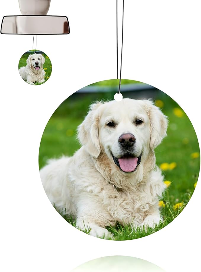 Custom Air Fresheners with Pictures - Personalized Double Sided Photo Text Air Fresheners for Car Wardrobe Bathroom Decor Hangings(Circle)