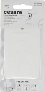 Cesare Scented Cards Car Air Freshener Long Lasting Uses Alcohol Free Fragrance Oil Non-Toxic EVA Material Pack of 6 Different Fragrances