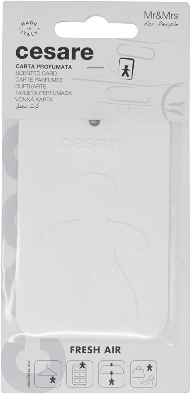Cesare Scented Cards Car Air Freshener Long Lasting Uses Alcohol Free Fragrance Oil Non-Toxic EVA Material Pack of 6 Different Fragrances