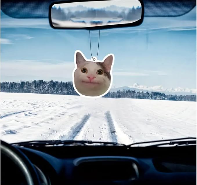 Rawan 4 Pack Cat Air Freshener - Funny Cat Decor for Women, Men & Kids - Hanging Fresheners for Car & Home