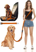 Hands Free Dog Leash, 2-in-1 Detachable Pet Seatbelt,5.9-9.2 ft Crossbody Dog Leash with Double-Sided Reflective for Walking, Hiking, Travel etc.(Orange)