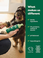 Earth Rated Waterless Dog Shampoo & Conditioner, Convenient No-Rinse Wash for Cleaning, Conditioning & Detangling, for All Coat Types, Refreshing White Tea and Basil Scent, 7 oz