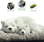 Ergocar Car Air Purifying Bags Cute Animals Odor Eliminator Bamboo Charcoal for Car Decoration & Eliminating Odors (Samoyed-B)
