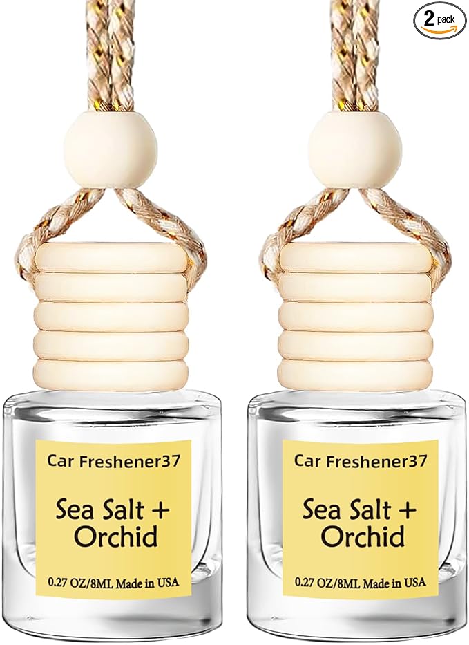 Hanging Car Air Freshener, Long Lasting Essential Oil Diffuser, Non-Toxic New Car Scent, Cute Car Fresheners for Women, 2 Pack Made in USA