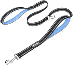 PoyPet 5 Feet Dog Leash - 3M Reflective - 2 Cushioned Handles - Functional Car Seat Belt(Light Blue)