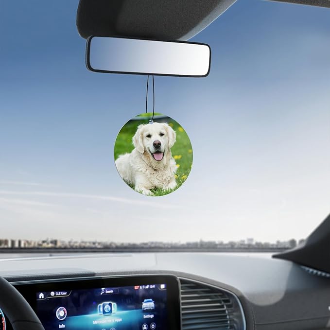 Custom Air Fresheners with Pictures - Personalized Double Sided Photo Text Air Fresheners for Car Wardrobe Bathroom Decor Hangings(Circle)