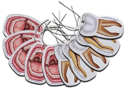 Car Air Freshener Anatomy Dentist Set 10 Pack