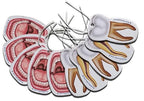 Car Air Freshener Anatomy Dentist Set 10 Pack