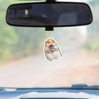 Rawan 4 Pack Car Air Freshener Squirrel, Cute for Women, Girls And Men, Funny Decor Hanging Fresheners