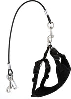 Mogoko Chew Proof Dog Car Seatbelt Safety Restraint Pet No-Chew Tether Cable Stainless Steel Dog Leash Puppy Vehicle Seat Belt Strap with Double Clip and Latch Attachment (S Size,24 inch)