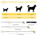 Dog Seat Belt Harness for Car, 5-in-1 Coated Wire Dog Seatbelt, HYLIYAKI Shock Spring-Loaded No Chew Pet Dog Car Seatbelt Leash, with Removable Reflective Short Leash(Black, 24 inch/60 CM)
