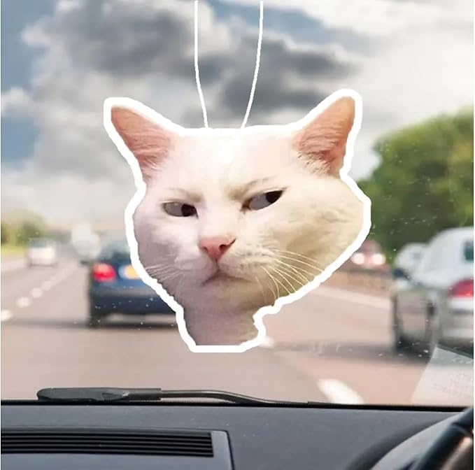 Rawan 4 Pack Cat Air Freshener - Funny Cat Decor for Women, Men & Kids - Hanging Fresheners for Car & Home