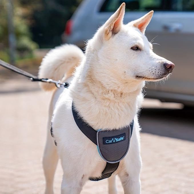 CarSafe Dog Travel Harness - Safely Secure Dog in car, ensures Road Laws and Insurance Terms When Travelling with Your pet. for Toy, Small, Medium and Large Dogs (Size Medium)