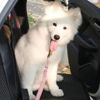 Dog Seat Belt for Car Adjustable Dog Safety Belt Leash 2 in 1 Latch Bar Attachment Dog Car Seatbelt with Elastic Nylon Bungee Buffer, Reflective Nylon Belt Tether Connect to Dog Harness 19-32in(Pink)
